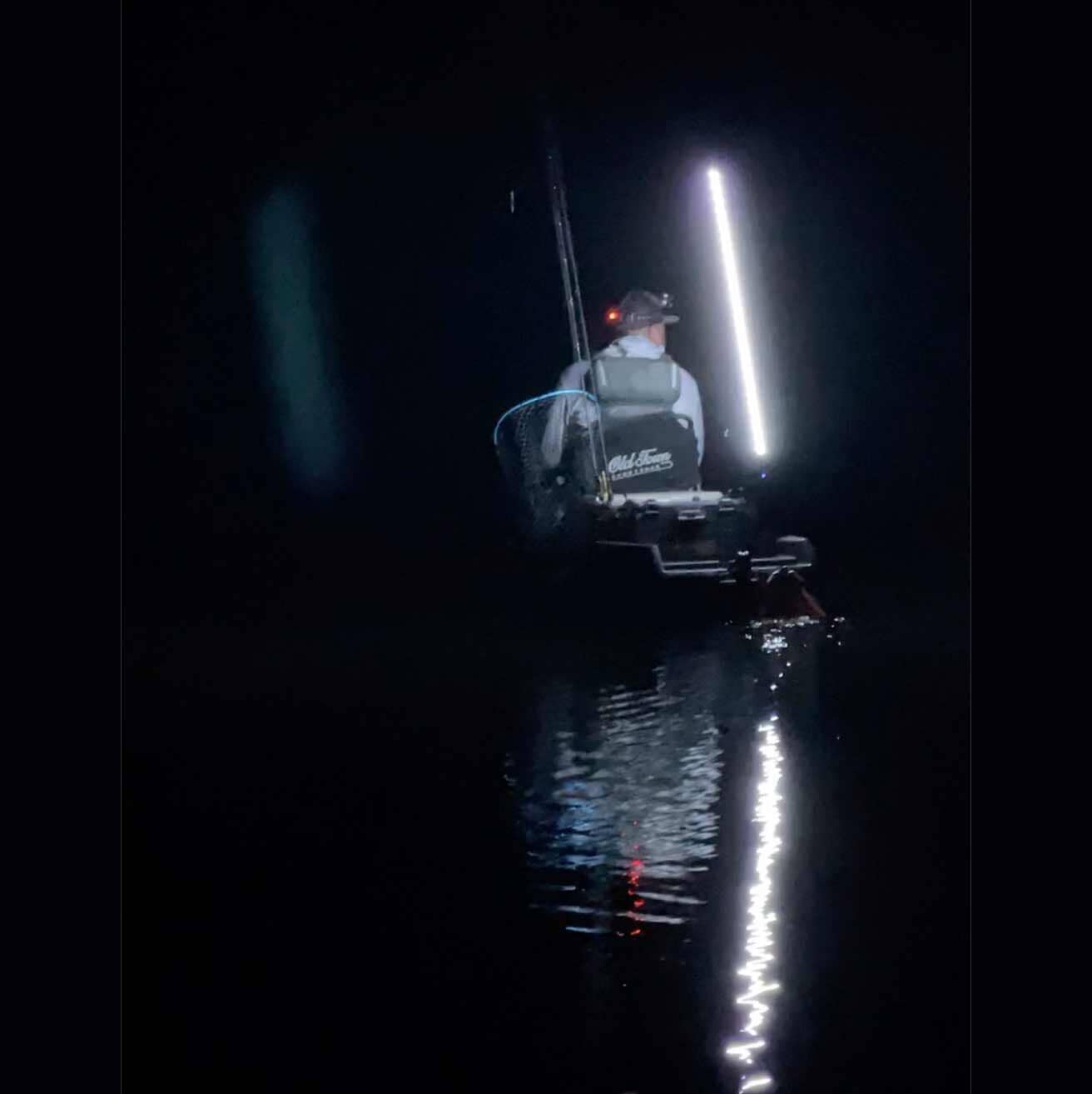 360 degree light on fishing pole for kayak YOLOtek NavLIGHT SHOW Boat Navigation Fishing Tackle Best Reel durable Aluminum pole Glamping Style:Silver Arm / Gold/Silver Aluminum T-Bar